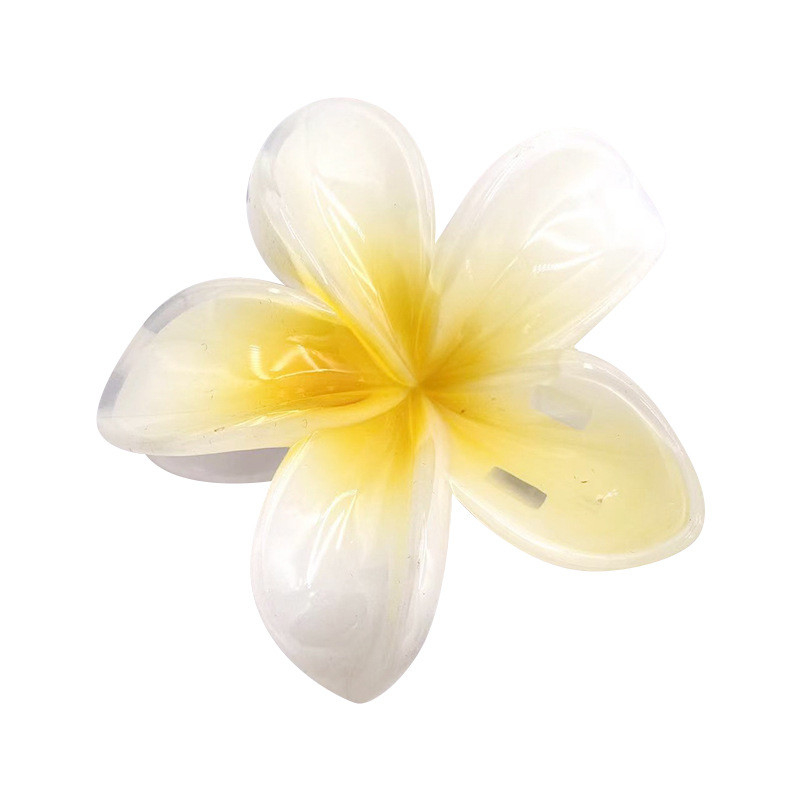 Clip à griffes pour cheveux à la mode Fleur personnaliser les couleurs pour répondre à vos besoins